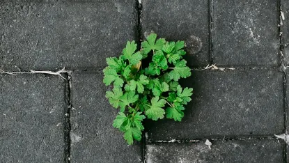 Casino Deposit Win Mobil App